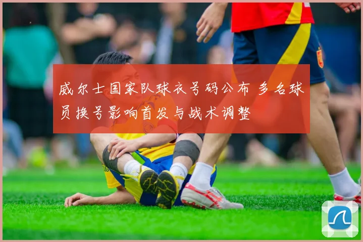 威尔士国家队球衣号码公布 多名球员换号影响首发与战术调整