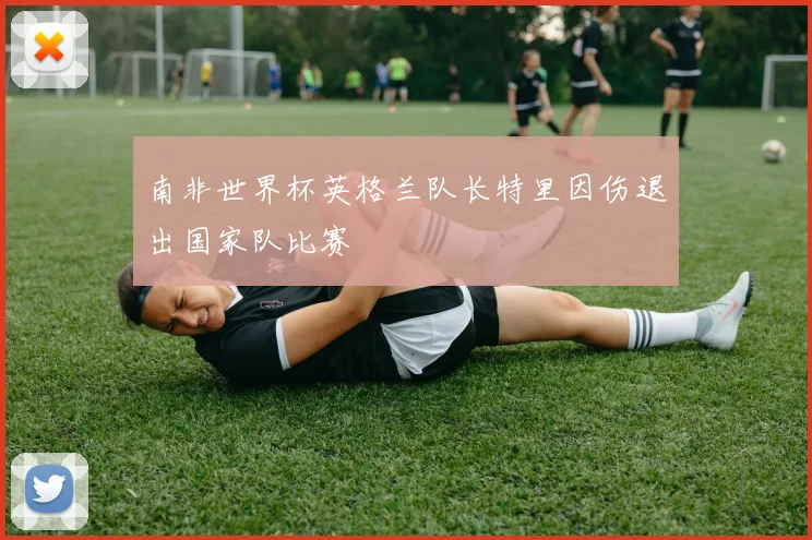 南非世界杯英格兰队长特里因伤退出国家队比赛