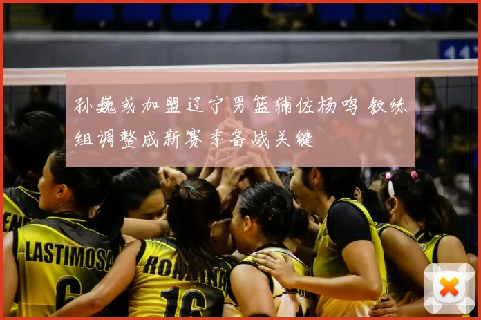 孙巍或加盟辽宁男篮辅佐杨鸣 教练组调整成新赛季备战关键