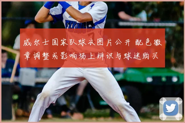 威尔士国家队球衣图片公开 配色徽章调整或影响场上辨识与球迷购买