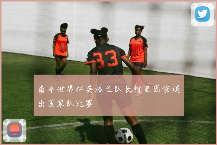 南非世界杯英格兰队长特里因伤退出国家队比赛