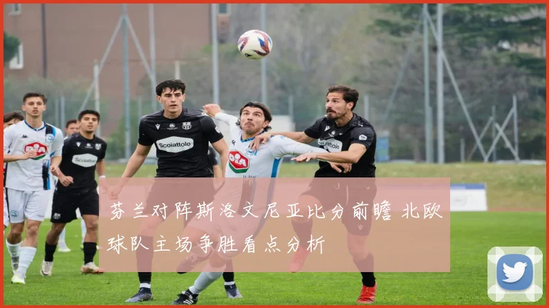 芬兰对阵斯洛文尼亚比分前瞻 北欧球队主场争胜看点分析