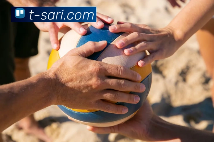 333体育官网是什么平台生态图